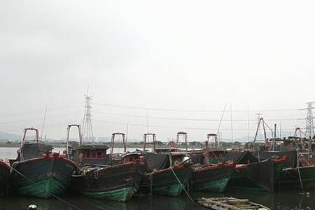 潮阳和平水产市场营业时间