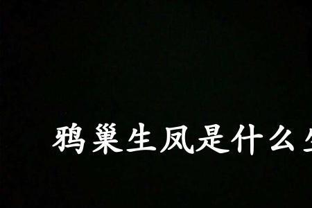 飞上枝头变凤凰是成语吗