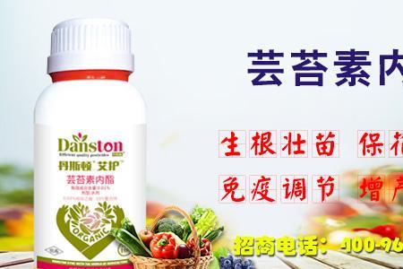 芸苔素内酯上的24表示什么意思