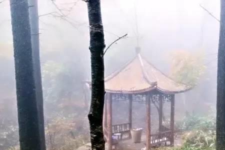幽路是什么意思