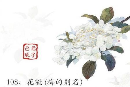 口在古代的雅称