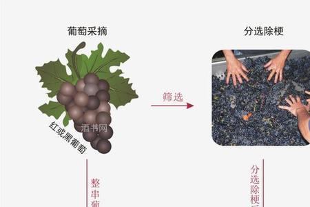 酿酒的工艺怎么形容