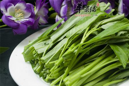 竹叶空心菜和柳叶空心菜区别