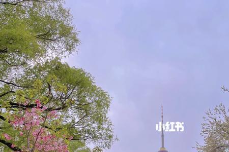 五一玉渊潭公园开放时间