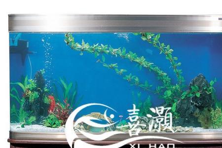 超清热弯鱼缸和超白玻璃哪个好