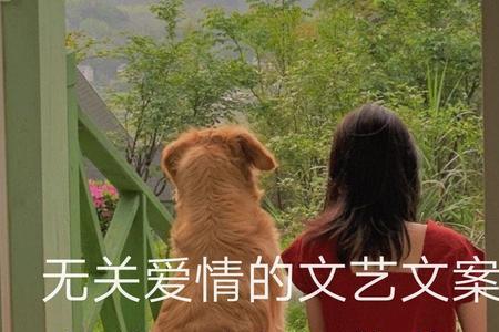 没有默契的文案无关爱情