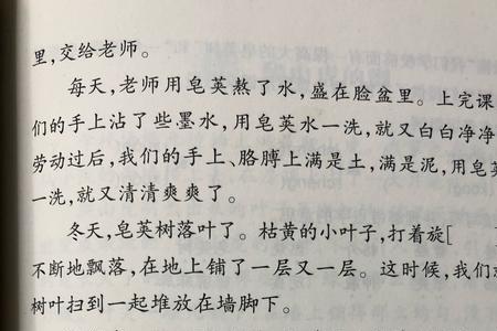 皂荚树课文
