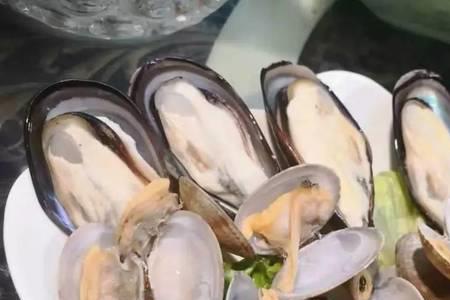 牡蛎蛤蜊扇贝生蚝有什么区别