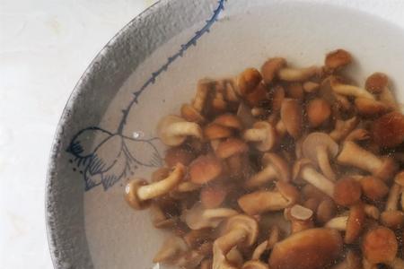 醋溜滑子菇汤