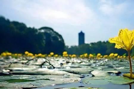 夏不入蜀什么意思