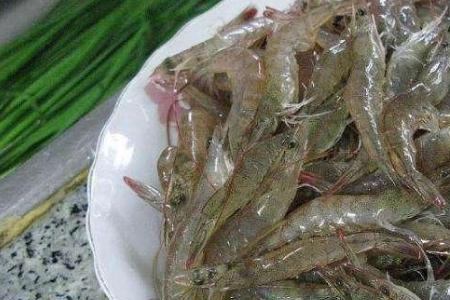 小河虾一般什么季节上市