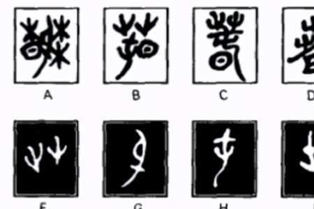甲骨文三横是什么字