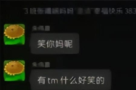 151什么梗