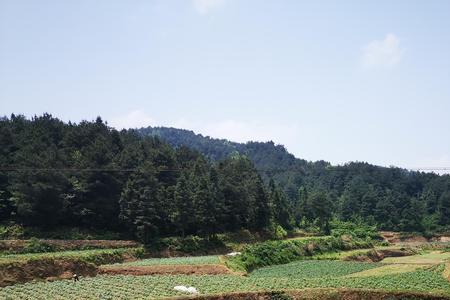 农村旱田可以买卖吗