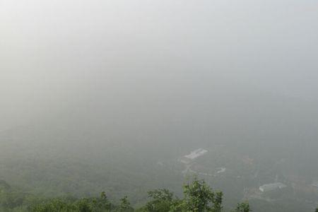 雾影的意思