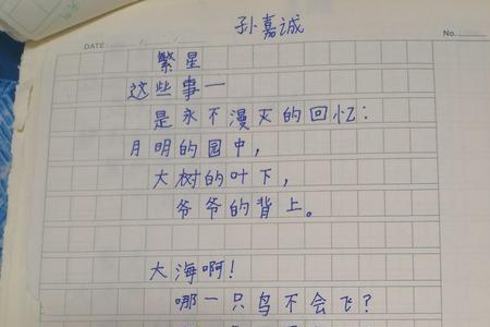 描写大海的繁星诗集