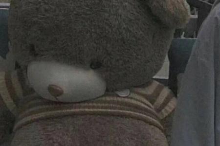 爱是本能教不会也强求不来下句