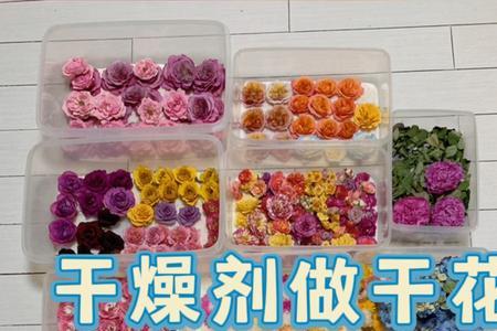 干燥剂可以用烤箱烘烤吗