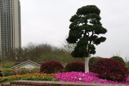 九曲河湿地公园玩水哪个门近点