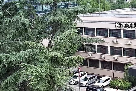 到美国领事馆骂美国犯法吗