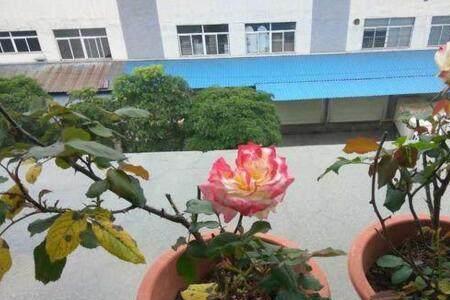 开水浇花一般几天死