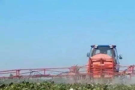 噻苯隆催芽效果