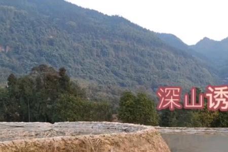 山清对水秀仿写一句
