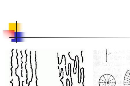 如何判断分子有几种不同取向