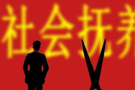 社会抚养费是怎么分配