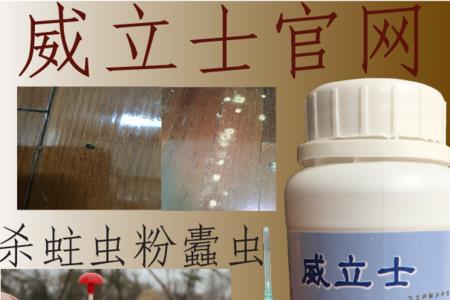 木虫的养殖技术方法