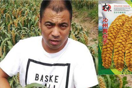 粮食种子来源