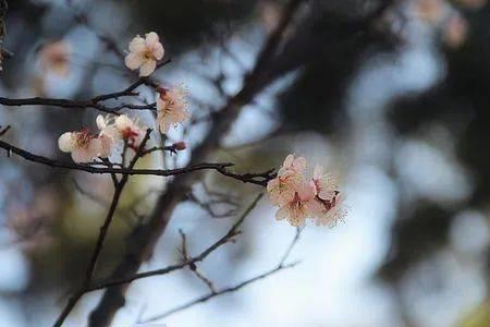 流年已过什么意思