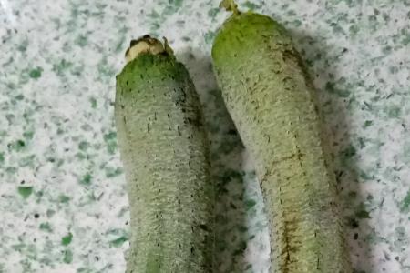 丝瓜籽怎么炒