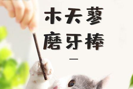 小猫磨牙期吃什么