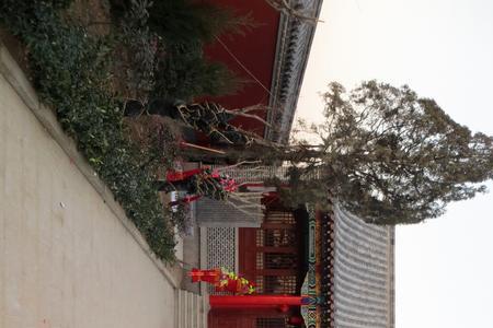 阎姓满族人的来源