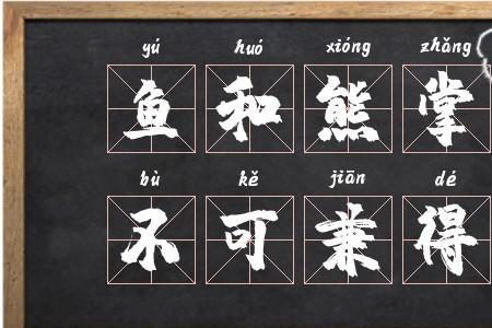 鱼熊兼得什么意思