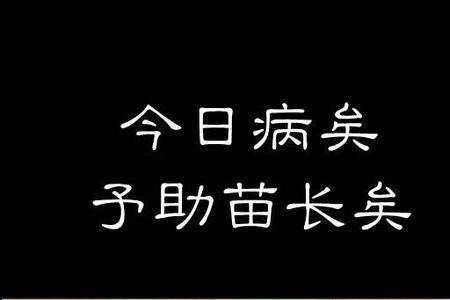 揠苗助长芒芒然归的归什么意思