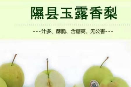 玉露香梨怎么上色