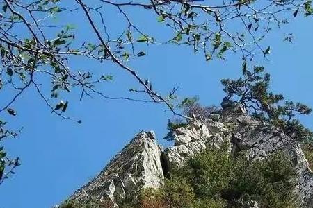 秦岭印象矿泉水怎么样