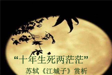 十年相望两茫茫意思