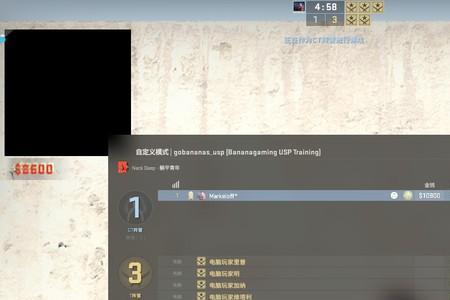 csgo海外怎么和国内玩
