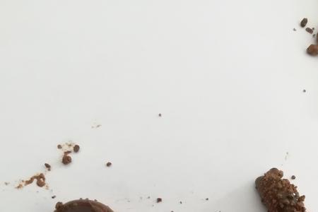 再生能力最强的蚯蚓