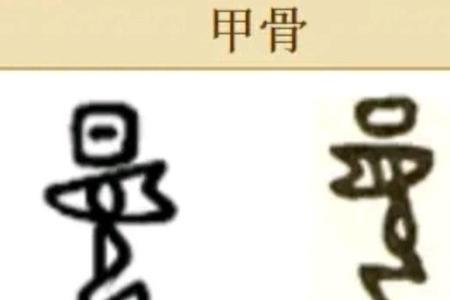 法字甲骨文