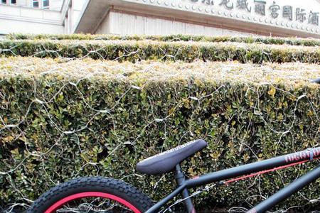 bmx道具车和街车的区别