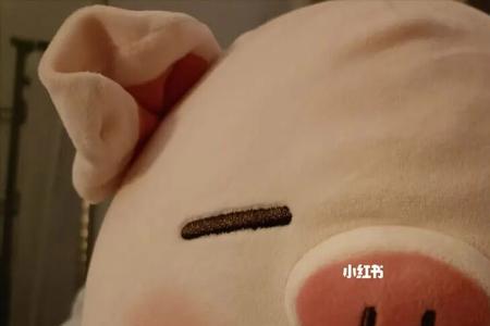 一个女的叫你晚安猪猪什么意思