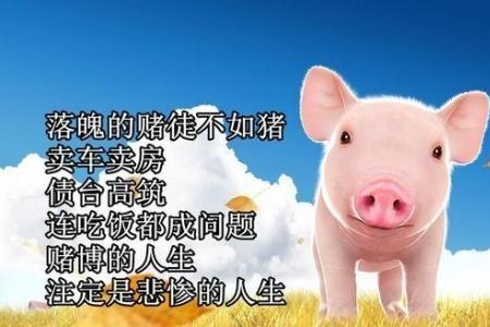 赌了好几年输了几十万怎么戒赌