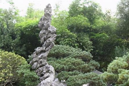木石念什么
