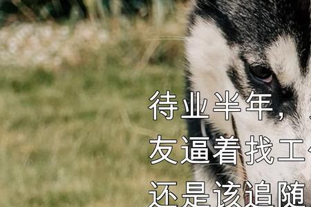 你对自己的工作有什么想法