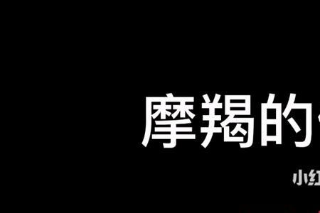 关于摩羯座的文案高质量温柔