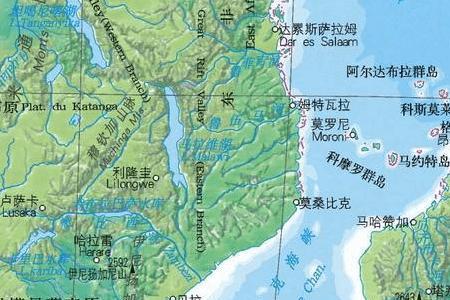 特类岛划分表